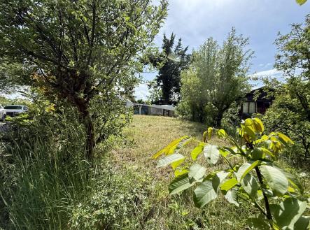 IMG_0728.jpeg | Prodej - pozemek, zahrada, 420 m²