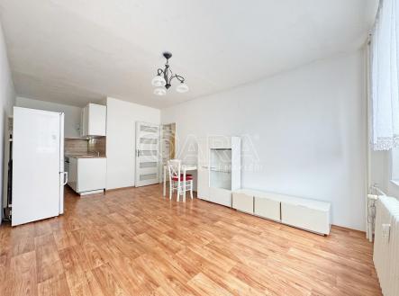 Vstup | Prodej bytu, 2+kk, 43 m²