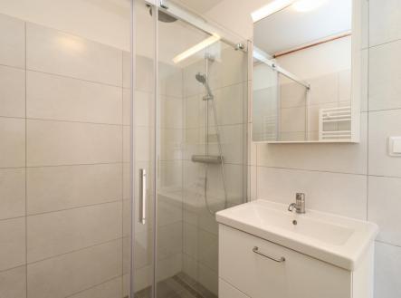 IMG_0513.jpg | Pronájem bytu, 2+kk, 65 m²