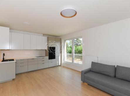 Pronájem bytu, 3+kk, 65 m² obrázek