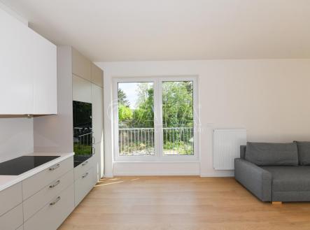 003.jpeg | Pronájem bytu, 3+kk, 65 m²