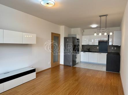 IMG_6174.jpeg | Pronájem bytu, 3+kk, 78 m²