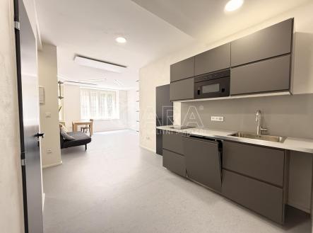 IMG_1364.jpeg | Pronájem bytu, 1+kk, 55 m²