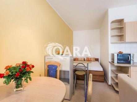fotografie | Pronájem bytu, 1+kk, 28 m²