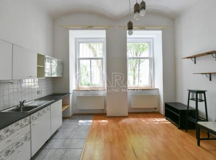 PEG_1511.jpeg | Pronájem bytu, 1+kk, 33 m²
