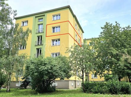 20260605_130342 2.jpg | Pronájem bytu, 2+1, 46 m²