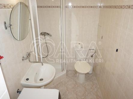 DSC08557.JPG | Prodej bytu, 1+kk, 24,5 m²