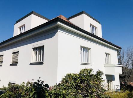 fotografie | Pronájem bytu, 1+1, 55 m²