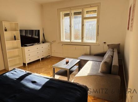 fotografie | Pronájem bytu, 1+1, 55 m²