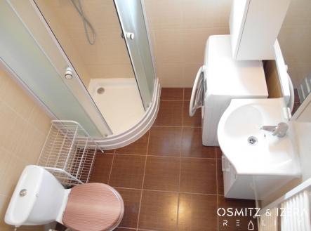 koupelna 1.JPG | Pronájem bytu, 2+kk, 46 m²