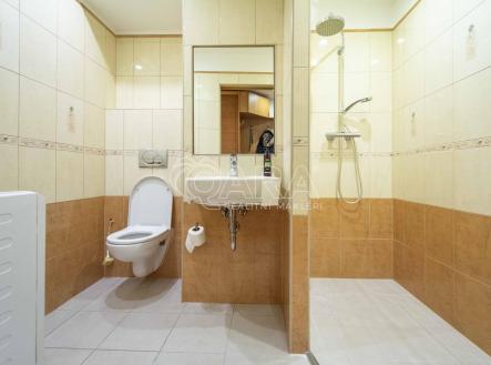 Pronájem bytu, 2+1, 63 m² obrázek