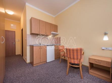 fotografie | Pronájem bytu, 1+kk, 25 m²