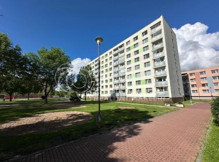 IMG_4273.jpeg | Pronájem bytu, 3+1, 63 m²