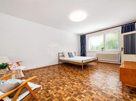 850_3392.jpg | Pronájem bytu, 1+1, 39 m²