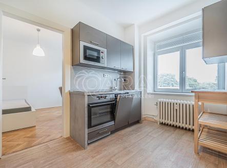 DSC04947.jpg | Pronájem bytu, 1+1, 38 m²