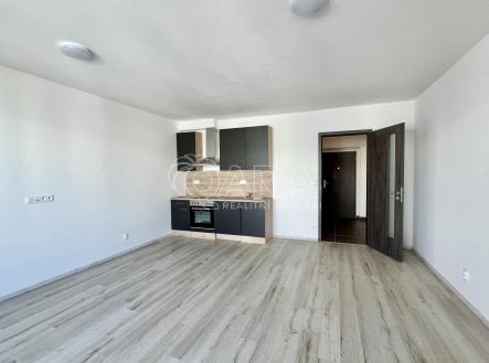 IMG_2087 2.JPG | Pronájem bytu, 1+kk, 37 m²