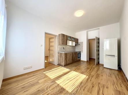 IMG_6215.jpg | Pronájem bytu, 2+kk, 48 m²