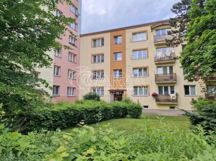 fotografie | Pronájem bytu, 1+kk, 24 m²