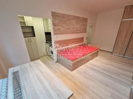 fotografie | Pronájem bytu, 1+kk, 24 m²
