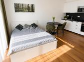 Pronájem bytu, 1+kk, 34 m²
