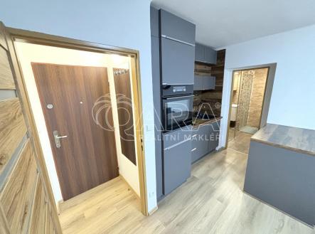 IMG_0054.jpg | Pronájem bytu, 1+kk, 27 m²