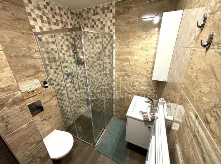 IMG_0037.jpg | Pronájem bytu, 1+kk, 27 m²