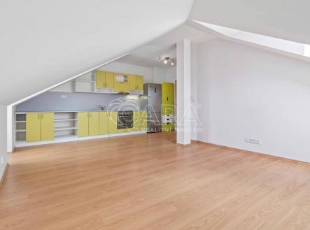 DSC04152 R.jpg | Pronájem bytu, 3+kk, 67 m²