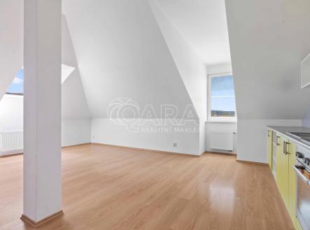 DSC04144 R.jpg | Pronájem bytu, 3+kk, 67 m²