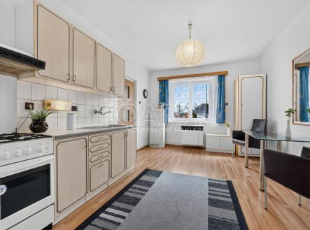 Pronájem bytu, 1+1, 48 m² obrázek