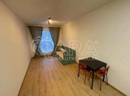 613779418_1183580366818008_6137354198900072823_n | Pronájem bytu, 1+kk, 28 m²