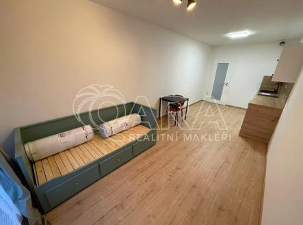 613053155_1545071973209380_9151320548947665387_n | Pronájem bytu, 1+kk, 28 m²