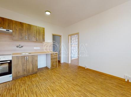 pronajem-11kk-Bozeny-Nemcove-866-11072023_170538 | Pronájem bytu, 1+1, 37 m²