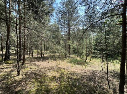 Prodej - pozemek, les, 2 123 m² obrázek