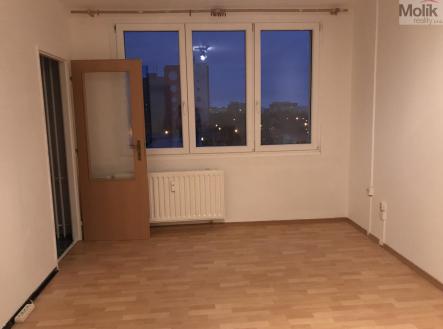 IMG_1025.jpg | Pronájem bytu, 1+kk, 27 m²