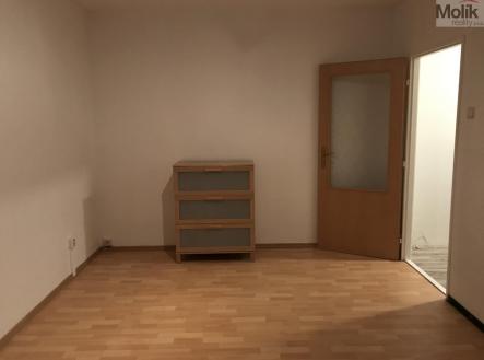 IMG_1023.jpg | Pronájem bytu, 1+kk, 27 m²