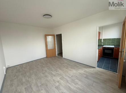 stažený soubor (2).jpg | Pronájem bytu, 1+kk, 27 m²