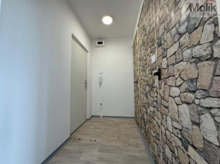 stažený soubor (3).jpg | Pronájem bytu, 1+kk, 27 m²