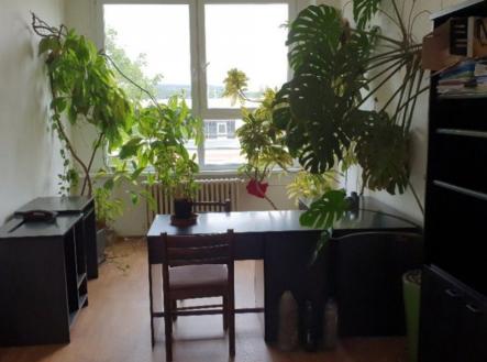 fotografie | Pronájem - kanceláře, 20 m²