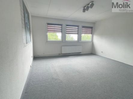 IMG_1574.jpeg | Pronájem bytu, 3+1, 72 m²