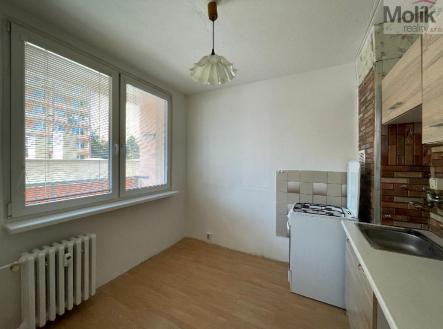stažený soubor (1).jpg | Pronájem bytu, 1+1, 34 m²
