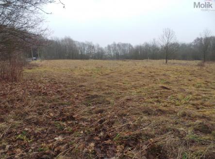 20240106_133609.JPG | Prodej - pozemek pro bydlení, 6 694 m²