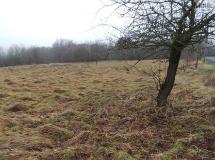 20240106_133858.JPG | Prodej - pozemek pro bydlení, 6 694 m²