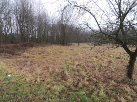 20240106_133917.JPG | Prodej - pozemek pro komerční výstavbu, 9 445 m²