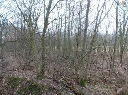 20240106_133951.JPG | Prodej - pozemek pro komerční výstavbu, 9 445 m²