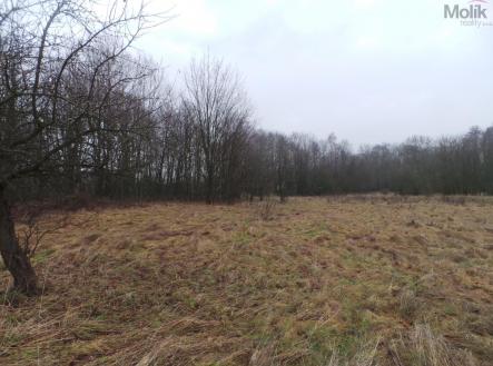 20240106_134031.JPG | Prodej - pozemek pro komerční výstavbu, 9 445 m²