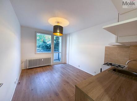 IMG_5108.jpg | Prodej bytu, 1+1, 34 m²