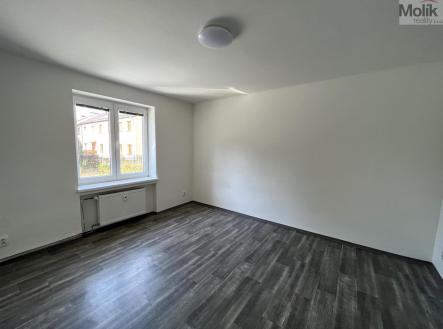 IMG-7384.jpg | Pronájem bytu, 1+1, 30 m²