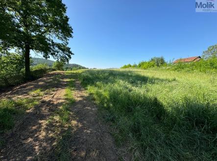 7d04cdd3-98ee-4b85-96f1-dc430f588686.jpg | Prodej - pozemek pro bydlení, 4 851 m²