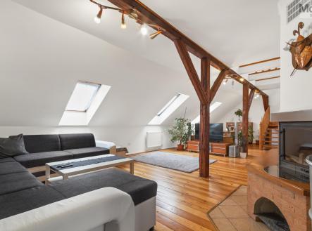 Prodej - dům/vila, 700 m²