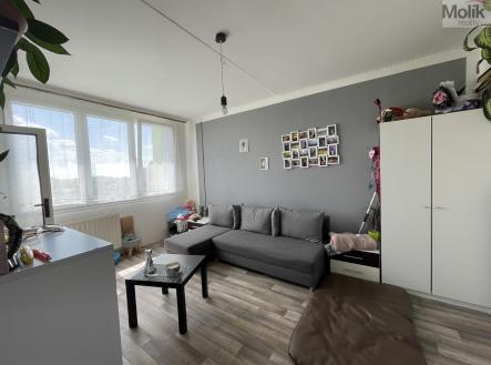 IMG_5009.jpg | Pronájem bytu, 1+kk, 27 m²